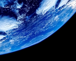 The Fly and the Fool on the Hill